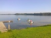 Cleanup Engelermeer