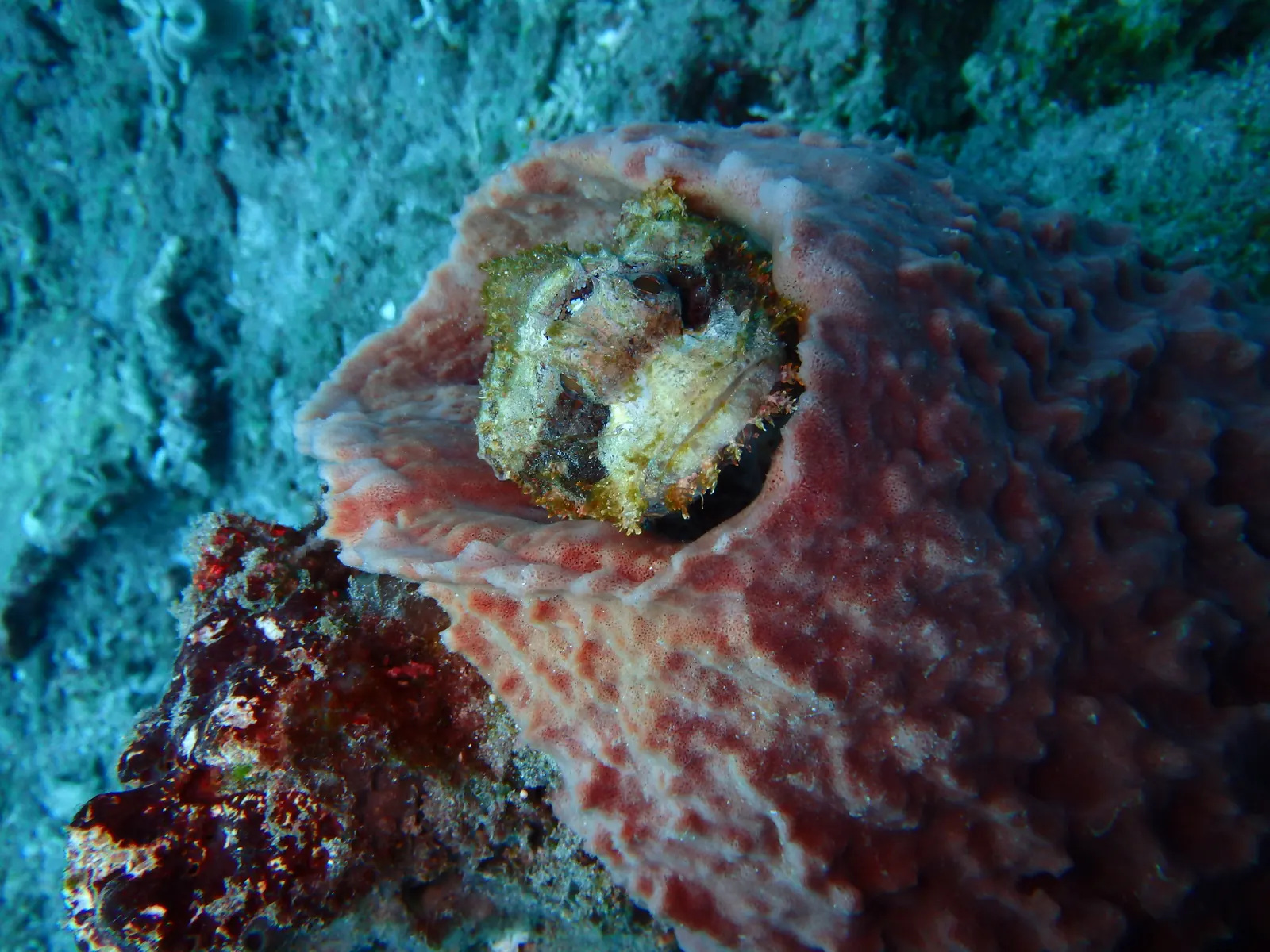 Sanur Channel