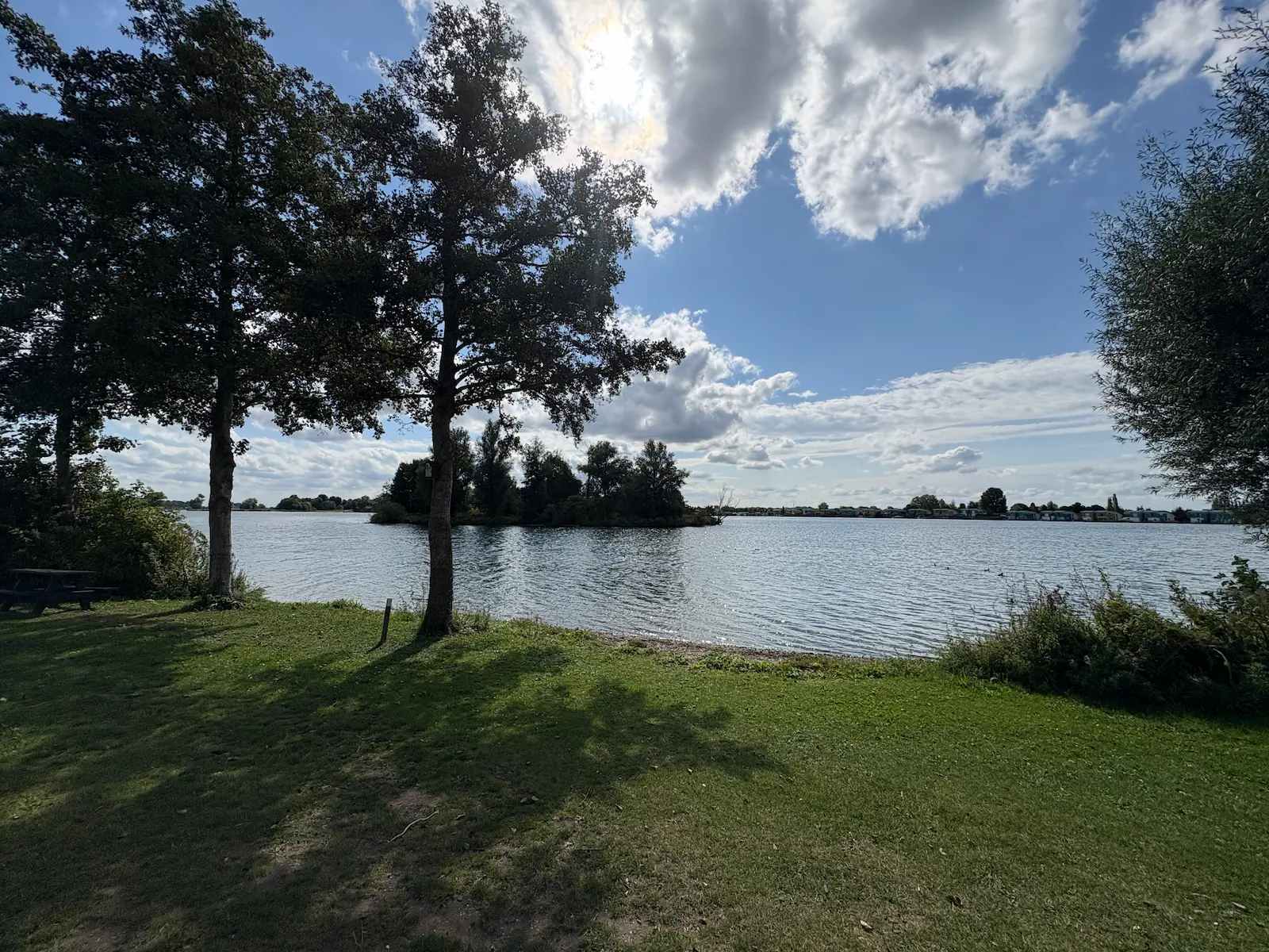 De gouden ham-Groene Eiland