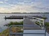 Klik om te vergroten Zevenhuizerplas Vogeluitkijk