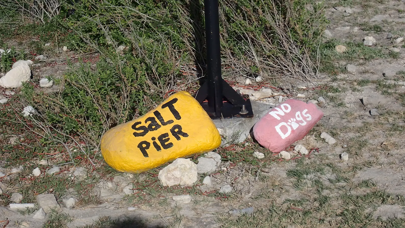 Salt pier (4)