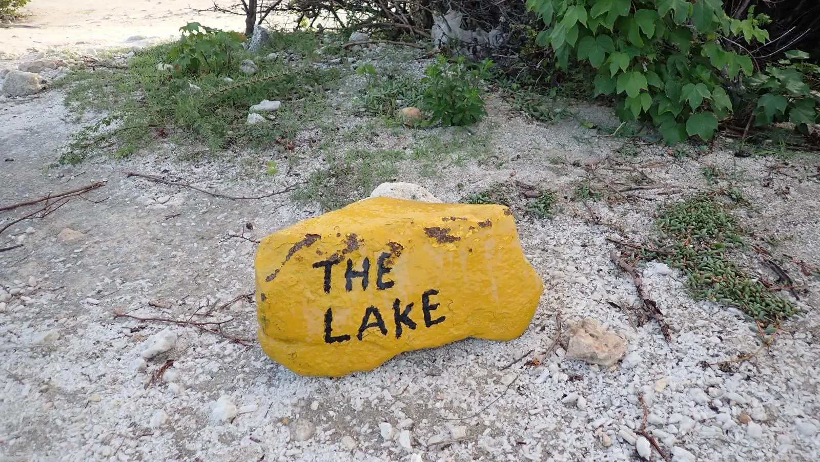 The lake (3)