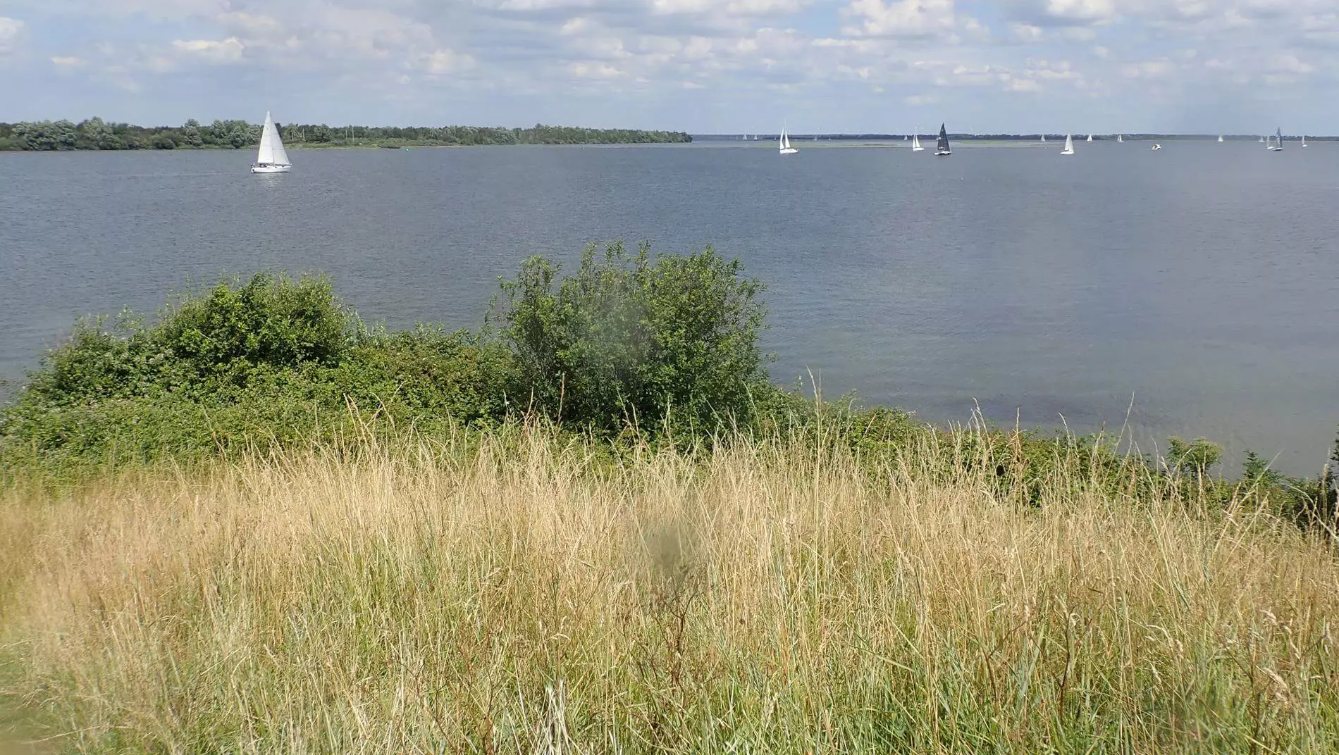 Kijkuitpolder