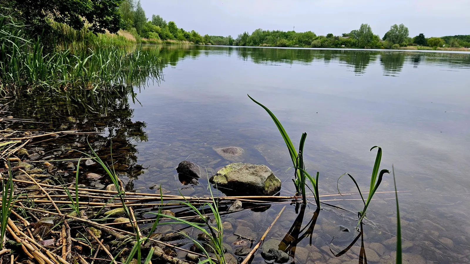 Kraaijenbergse plas 9   Raamweg (6)
