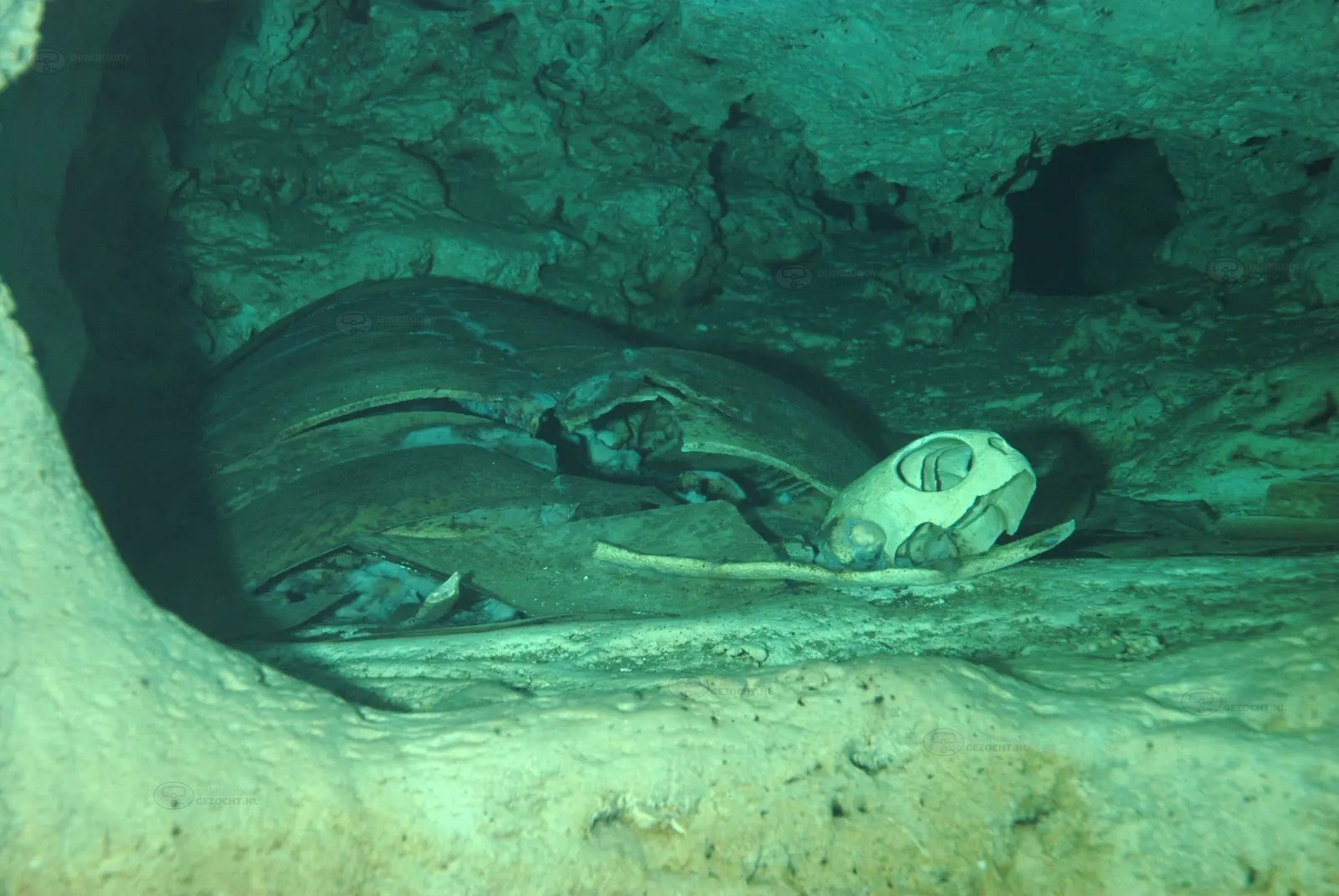 Turtle Cavern 003